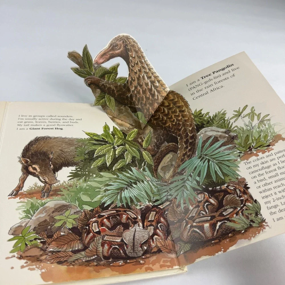 Scholastic wild animal